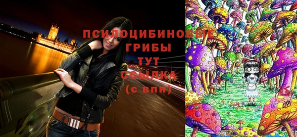 героин Ладушкин