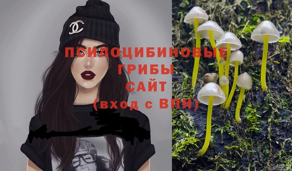 героин Ладушкин