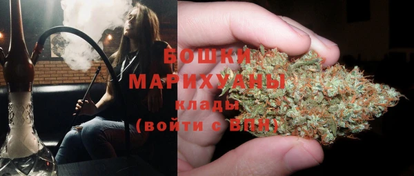 индика Куйбышев